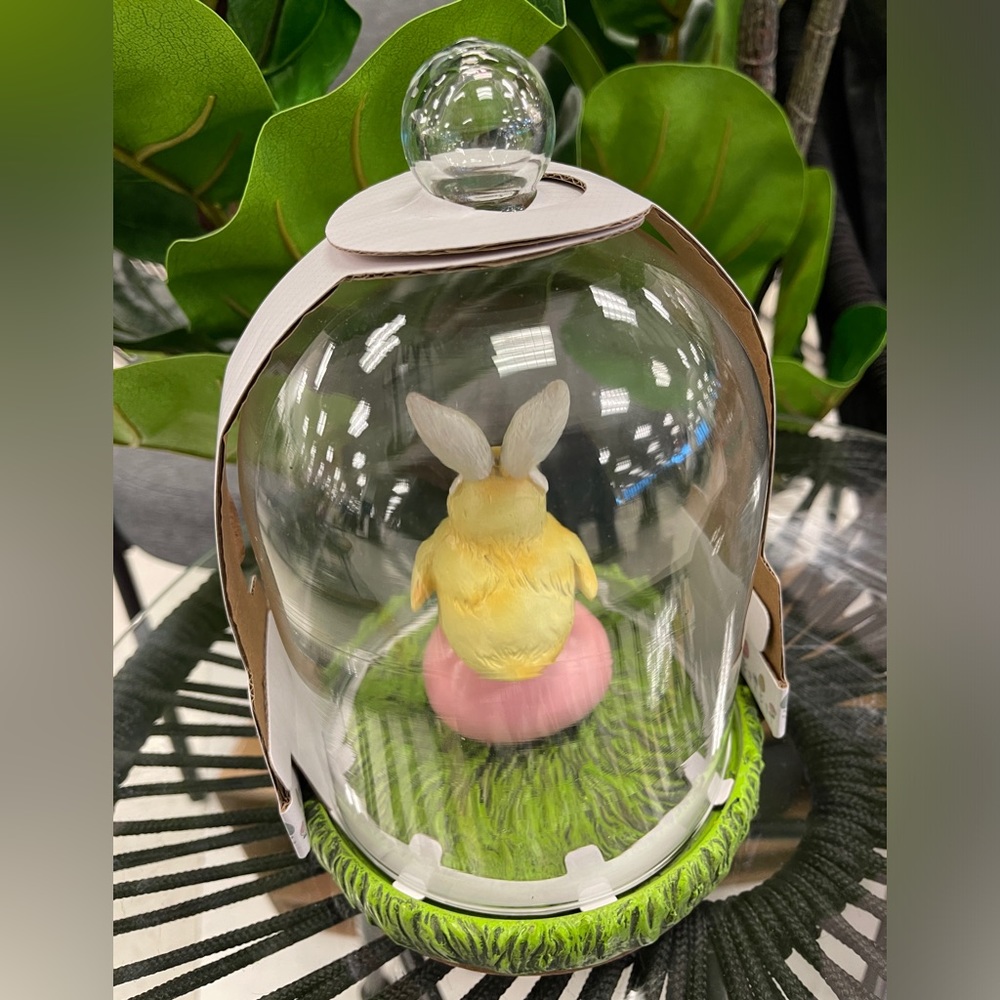 Easter Spring Chick Bunny with Egg in Removable Glass Dome Cloche NWT - Picture 2 of 4